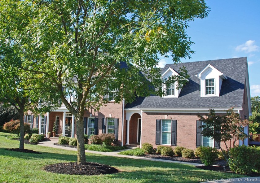 Improving your landscape