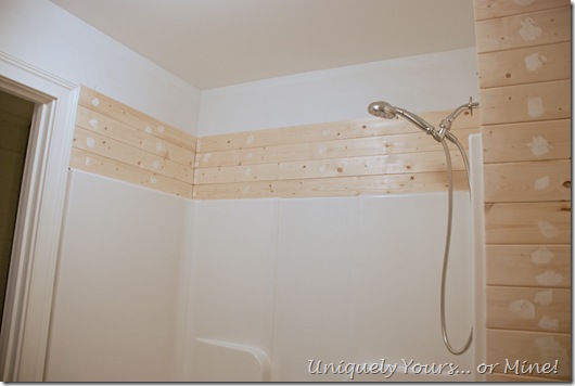 wood paneling in bathroom