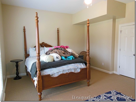 Guest basement bedroom before