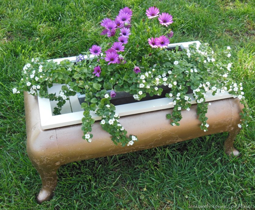 upcycled antique iron stove base into planter