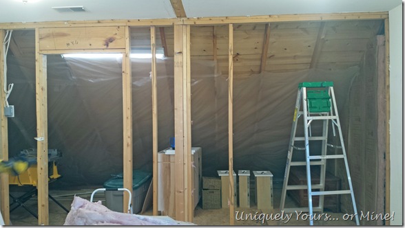 Master closet renovation remodel