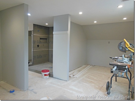 Master closet renovation