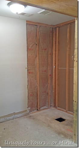 Bathroom shower renovation in progress