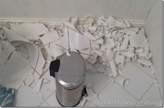 Wallpaper removal nightmare