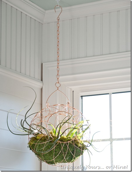 Adding plants to the bathroom