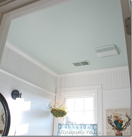 Blue painted bathroom ceiling