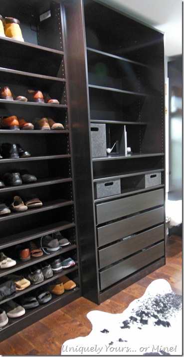 Ikea Brown Black PAX Wardrobes in custom closet