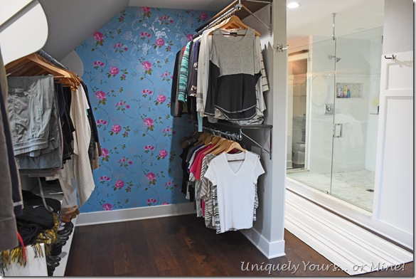 Renovated closet turned dressing room