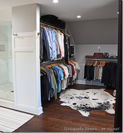 Renovated closet turned dressing room