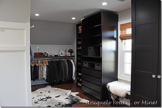 Renovated closet turned dressing room