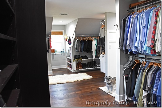 Renovated closet turned dressing room with cute Schnoodle